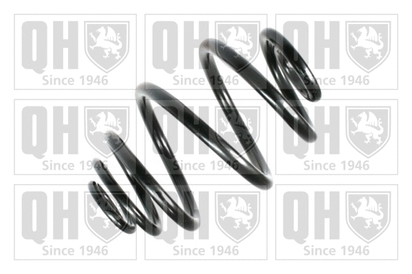 Suspension Spring (QCS5976)