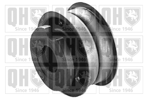 Deflection/Guide Pulley, timing belt (QTT138)