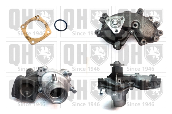 Water Pump, engine cooling (QCP3405BH)