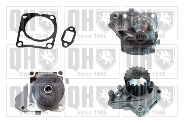 Water Pump, engine cooling (QCP3825)