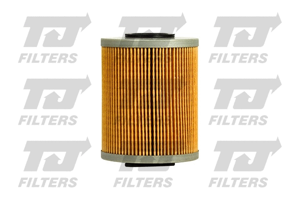 Fuel Filter (QFF0203)