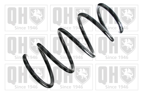 Suspension Spring (QCS8305)