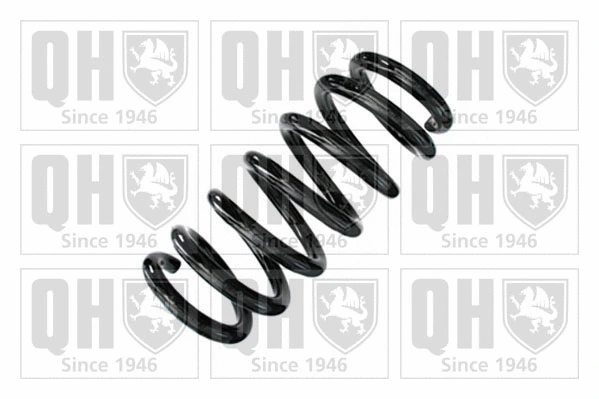 Suspension Spring (QCS8941)