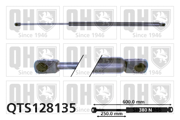 Gas Spring, boot/cargo area (QTS128135)