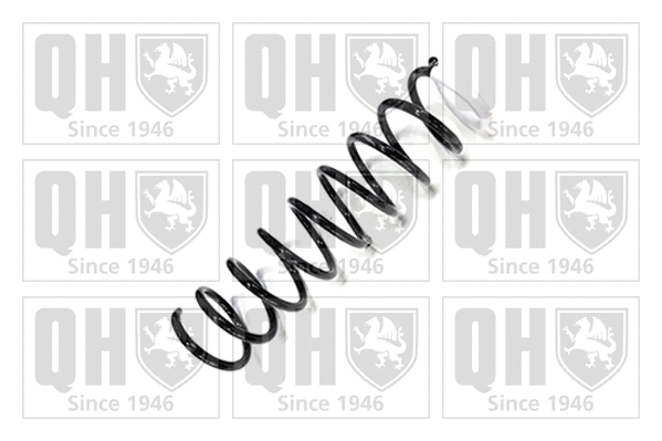Suspension Spring (QCS5798)