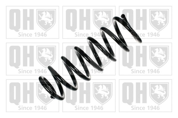 Suspension Spring (QCS7639)