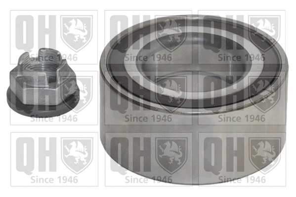 Wheel Bearing Kit (QWB1251)