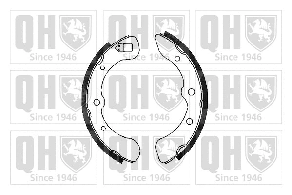 Brake Shoe Set (BS674)