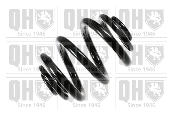 Suspension Spring (QCS5777)