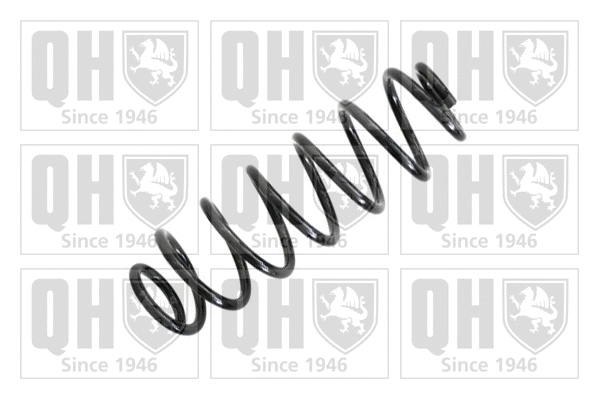 Suspension Spring (QCS6011)