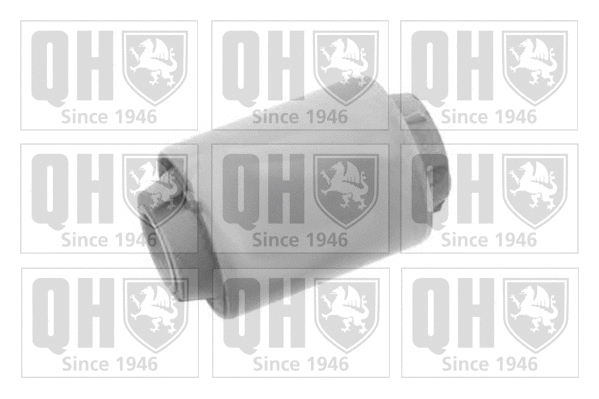 Mounting, control/trailing arm (EMS8327)