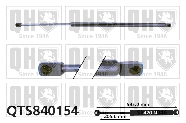 Gas Spring, boot/cargo area (QTS840154)