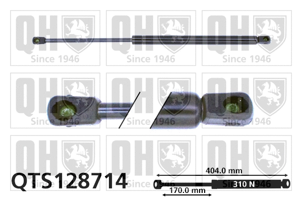 Gas Spring, boot/cargo area (QTS128714)