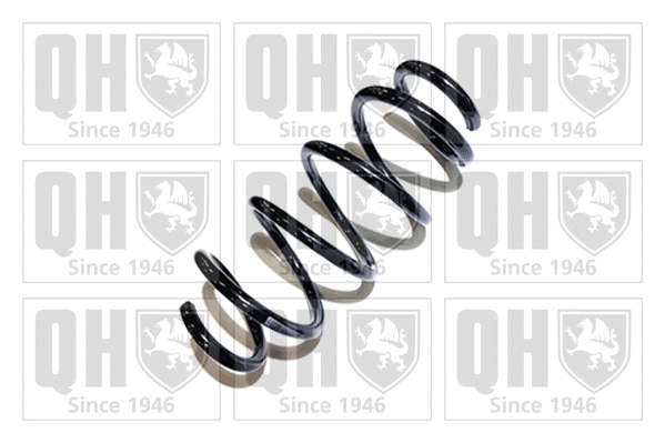 Suspension Spring (QCS6688)