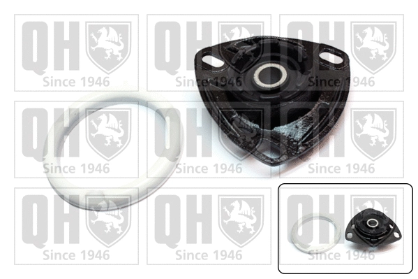 Repair Kit, suspension strut support mount (EMA1924)