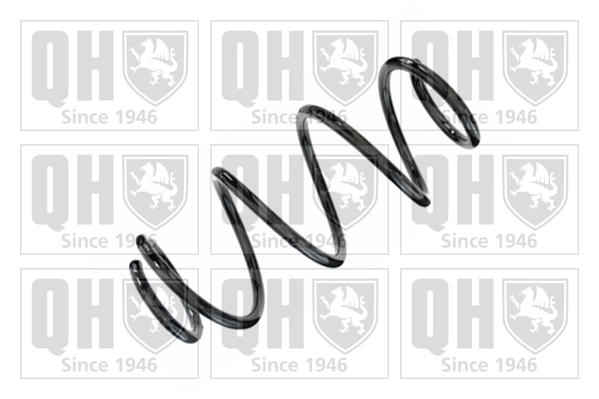 Suspension Spring (QCS8390)