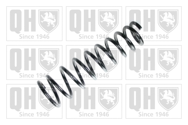 Suspension Spring (QCS6129)