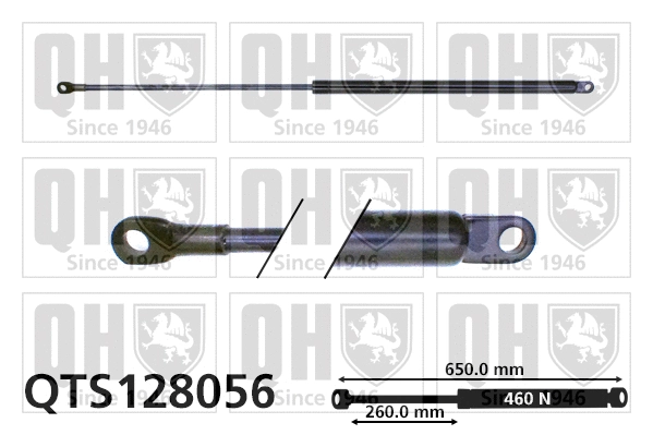 Gas Spring, boot/cargo area (QTS128056)