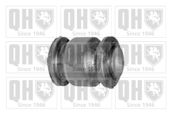 Mounting, control/trailing arm (EMS8362)