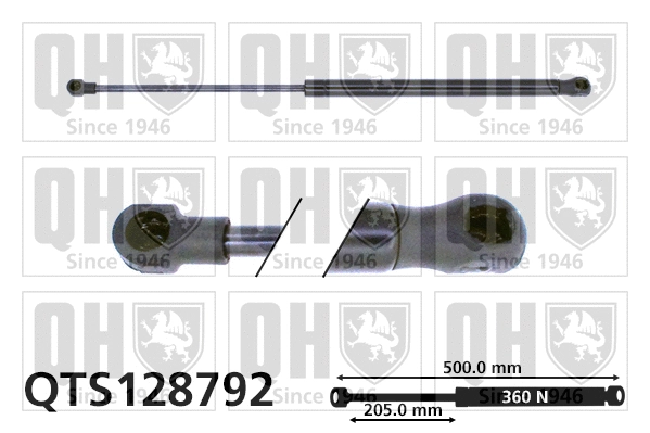 Gas Spring, boot/cargo area (QTS128792)