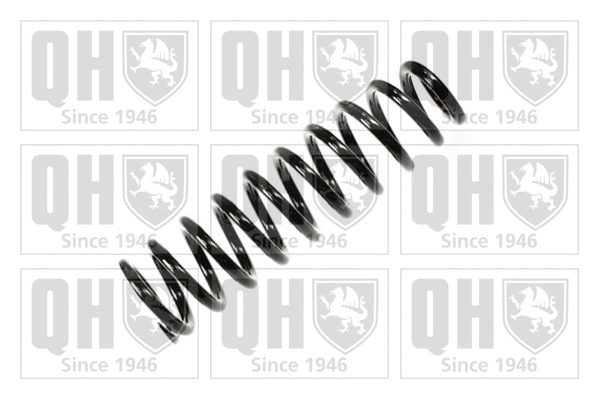 Suspension Spring (QCS5762)