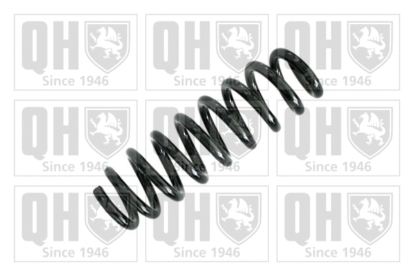 Suspension Spring (QCS7258)