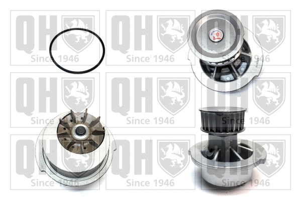 Water Pump, engine cooling (QCP3084)