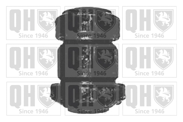 Mounting, control/trailing arm (EMS8252)