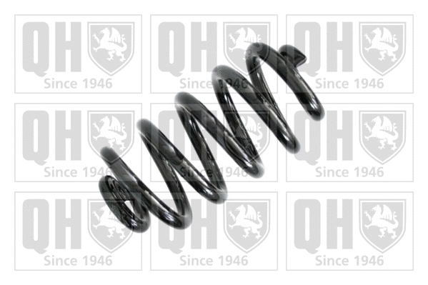 Suspension Spring (QCS6953)