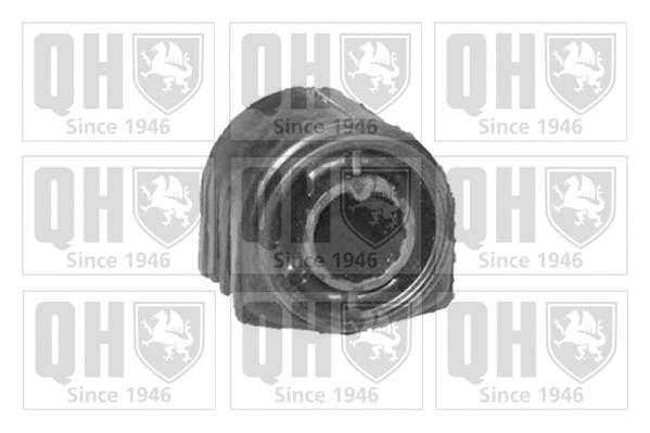 Mounting, control/trailing arm (EMS8475)