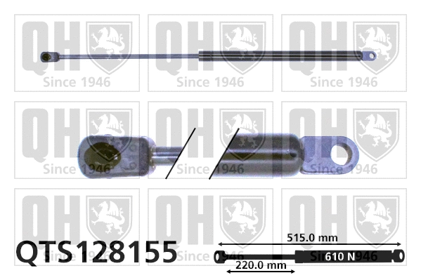 Gas Spring, boot/cargo area (QTS128155)