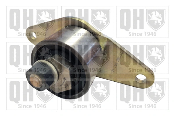 Tensioner Pulley, timing belt (QTT110)
