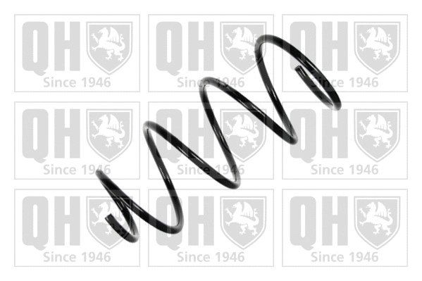 Suspension Spring (QCS6659)