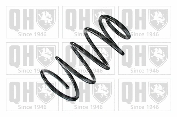 Suspension Spring (QCS9085)