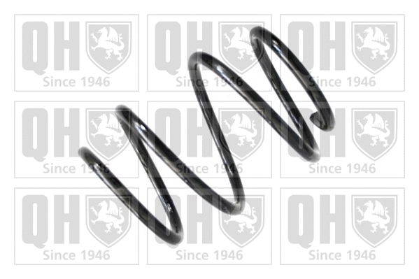 Suspension Spring (QCS7979)