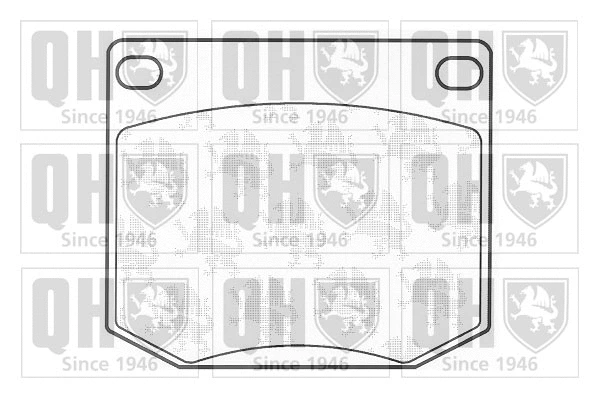 Brake Pad Set, disc brake (BP109)