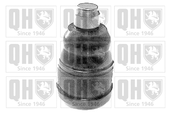 Ball Joint (QSJ1805S)