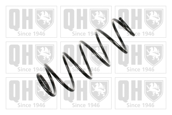 Suspension Spring (QCS5053)
