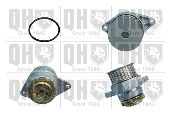 Water Pump, engine cooling (QCP3326)