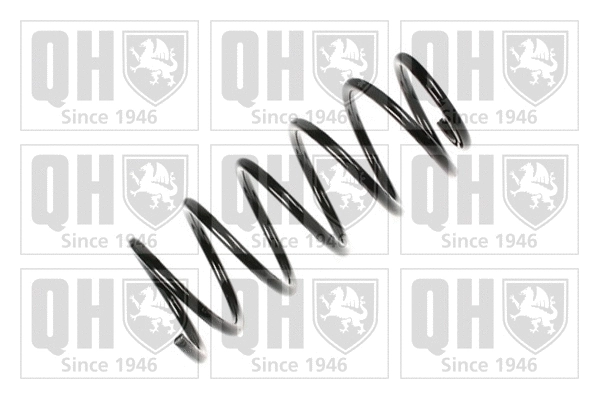 Suspension Spring (QCS6874)