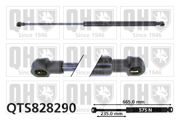 Gas Spring, boot/cargo area (QTS828290)
