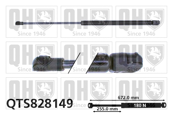 Gas Spring, bonnet (QTS828149)
