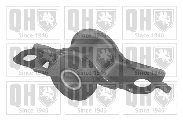 Mounting, control/trailing arm (EMS8162)