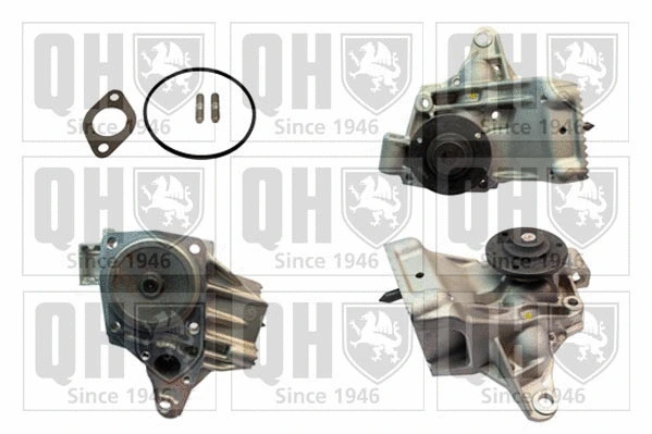 Water Pump, engine cooling (QCP3513)