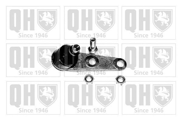 Ball Joint (QSJ897S)