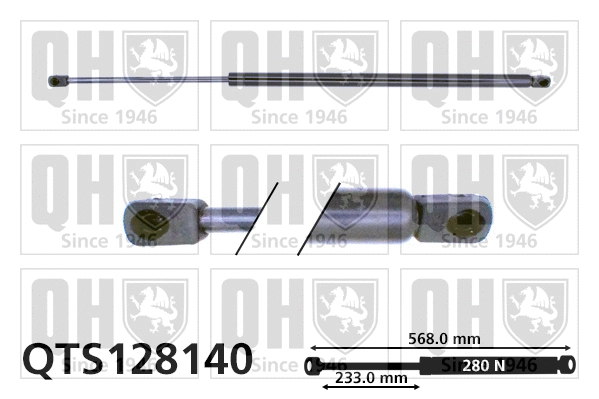 Gas Spring, boot/cargo area (QTS128140)