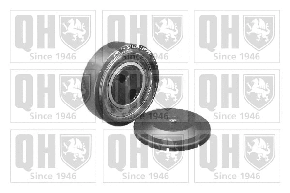 Tensioner Pulley, V-ribbed belt (QTA1073)