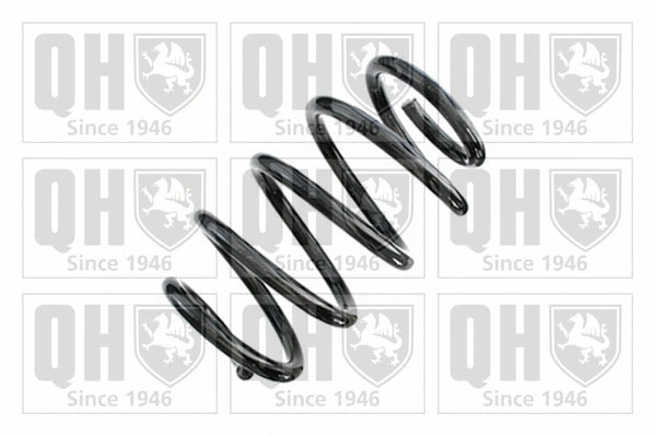 Suspension Spring (QCS8818)