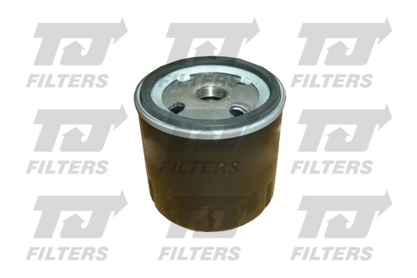 Oil Filter (QFL0113)