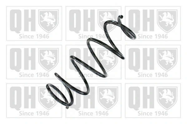 Suspension Spring (QCS8754)